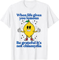 Lemons and Chlamydia Absurd Offensive Meme Sarcastic Edgy T-Shirt