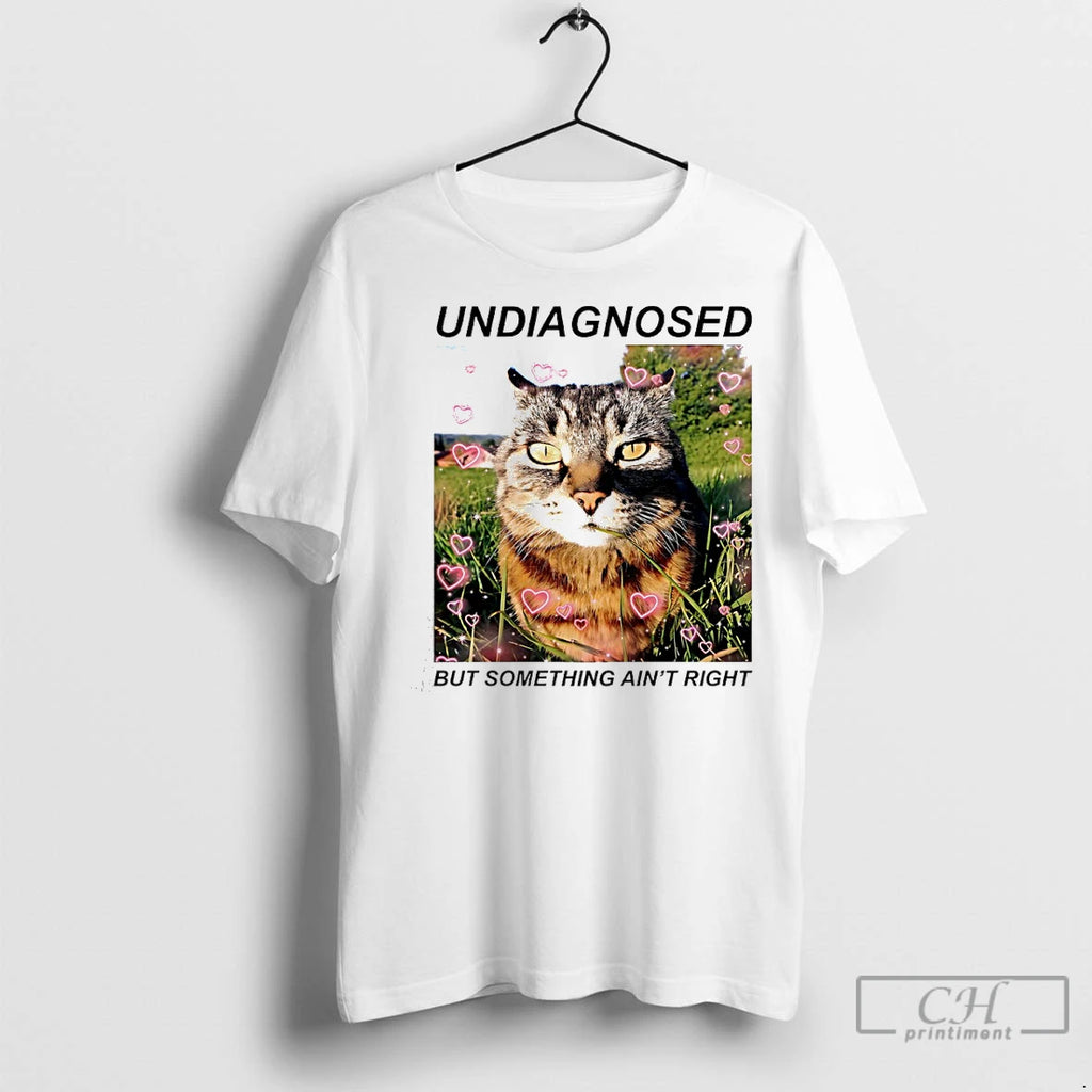 Classic Cat Undiagnosed But Something Aint Right