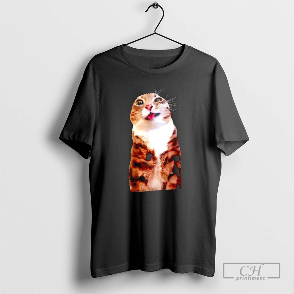 Classic Rigby Cat Meme Graphic Shirt Sweater