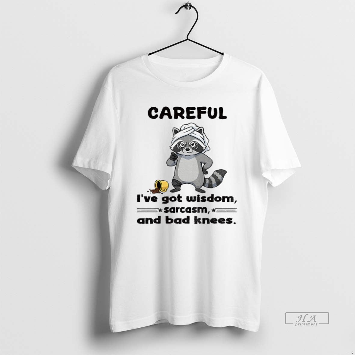 Official Raccoon Careful Ive Got Wisdom Sarcasm And Bad Knees