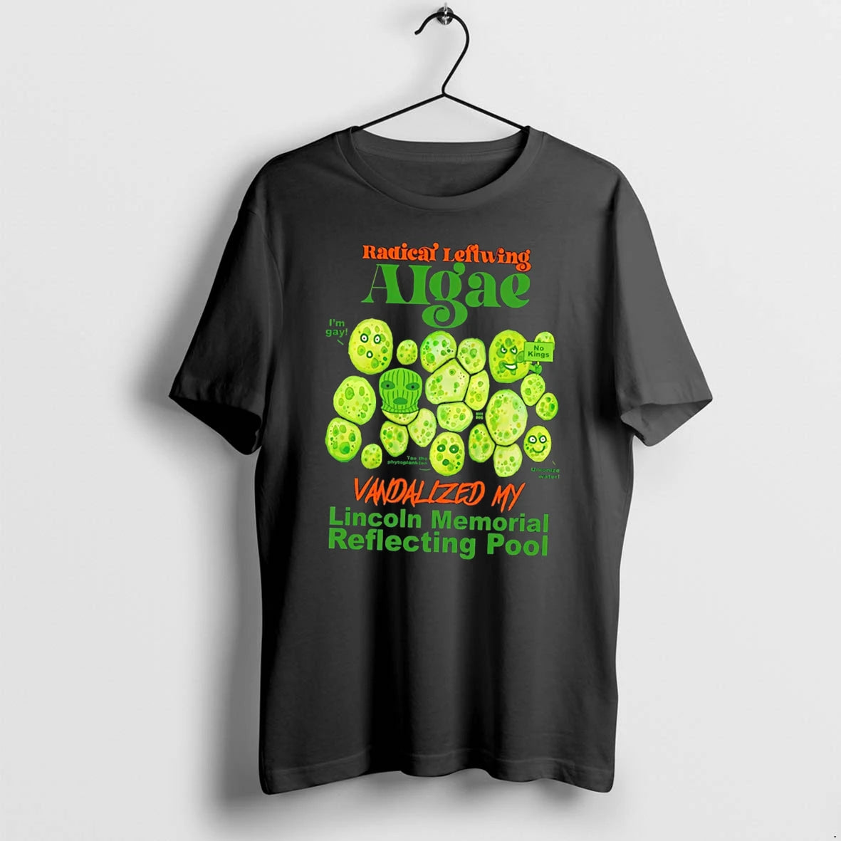 Officials Radical Leftwing Algae Vandalized My Lincoln Memorial Reflecting Pool Tee Premium T Shirt