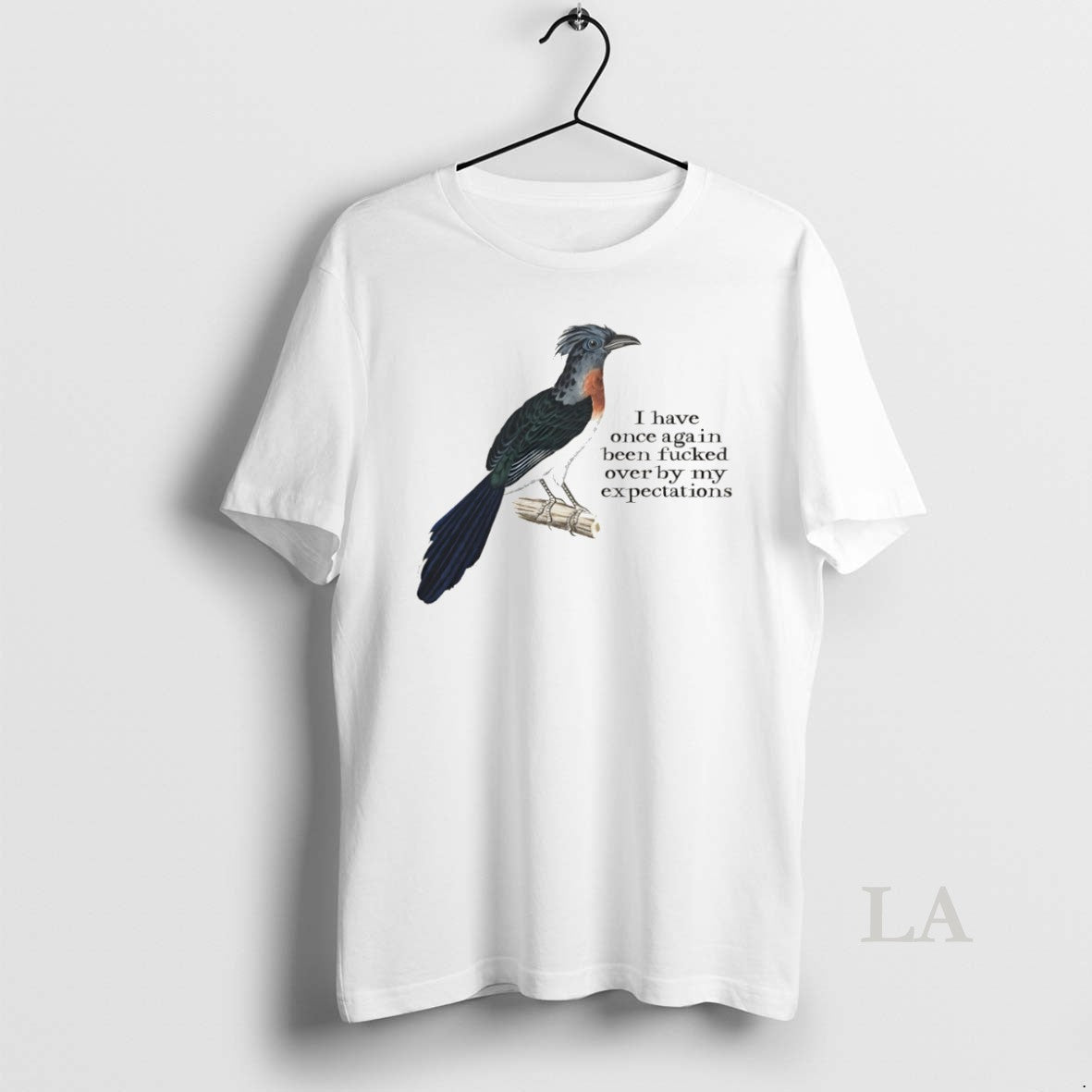 Original Effin Birds I Have Once Again Been Fucked Over By My Expectations