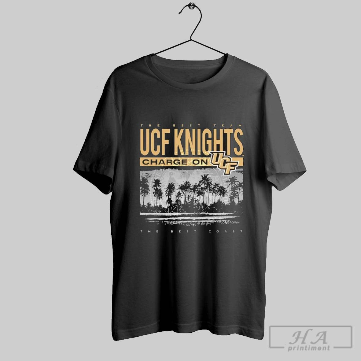 Original Ucf Knights Flogrown Best Beach