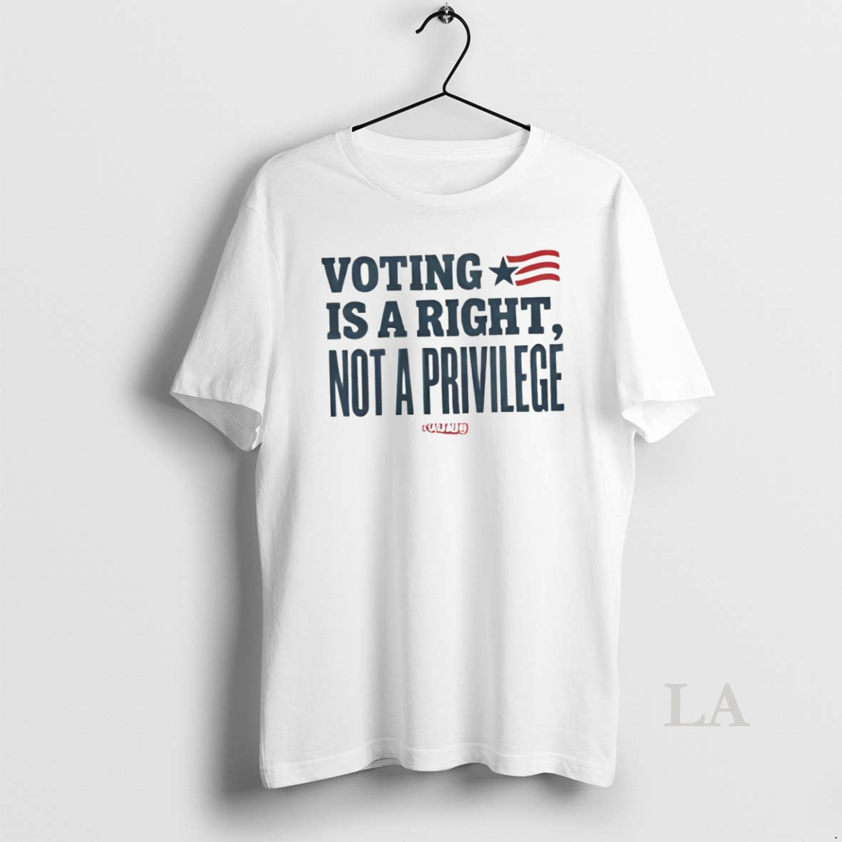 Original Voting Is A Right Not A Privilege American