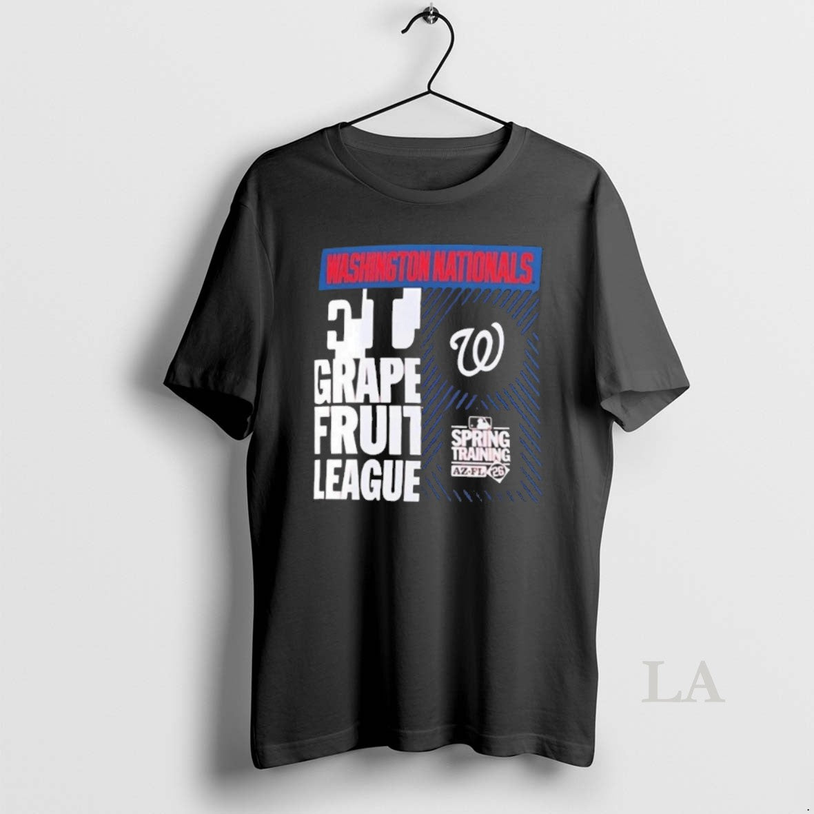 Original Washington National 2026 Spring Training True Icon