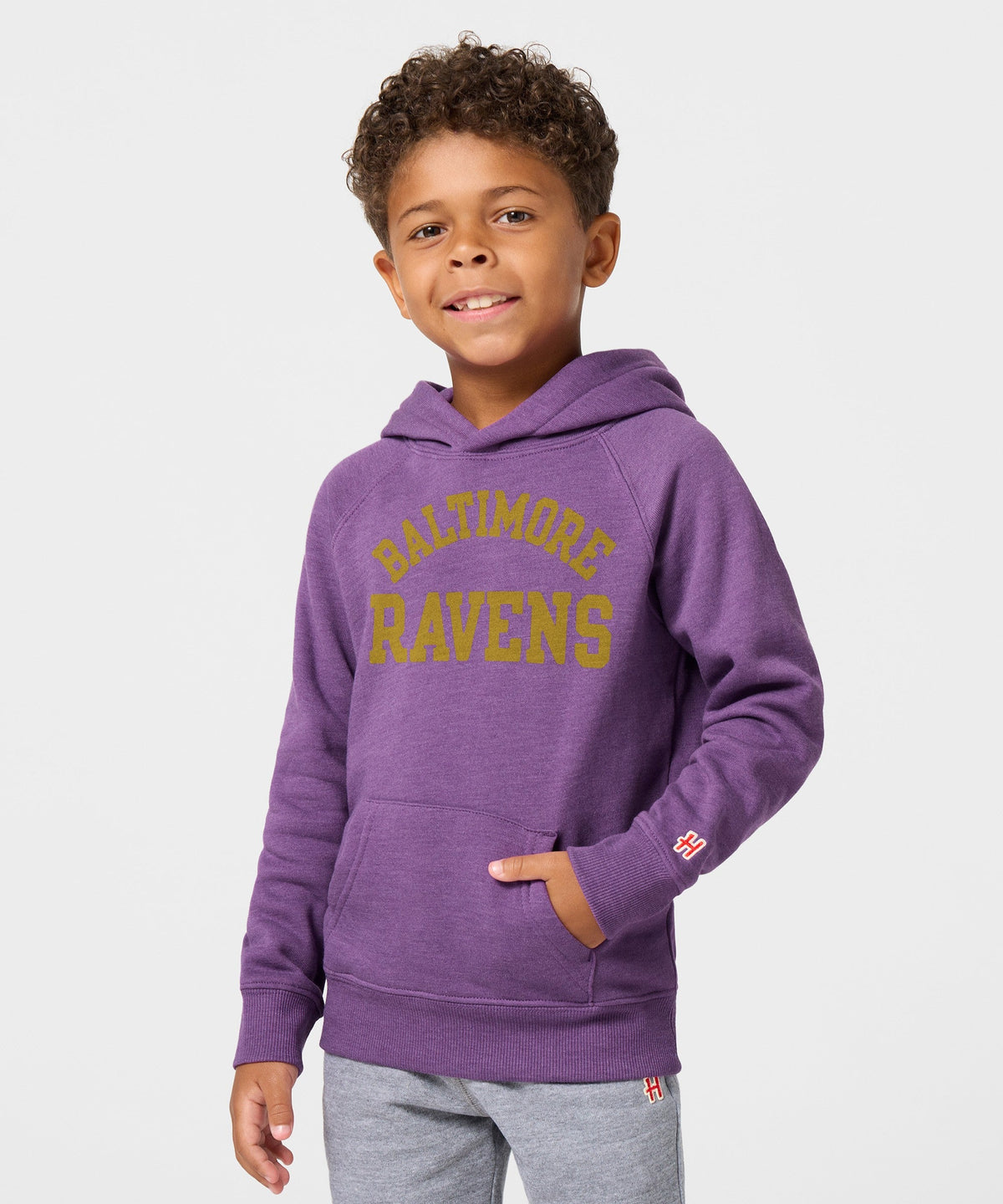 Youth Baltimore Ravens Classic Hoodie