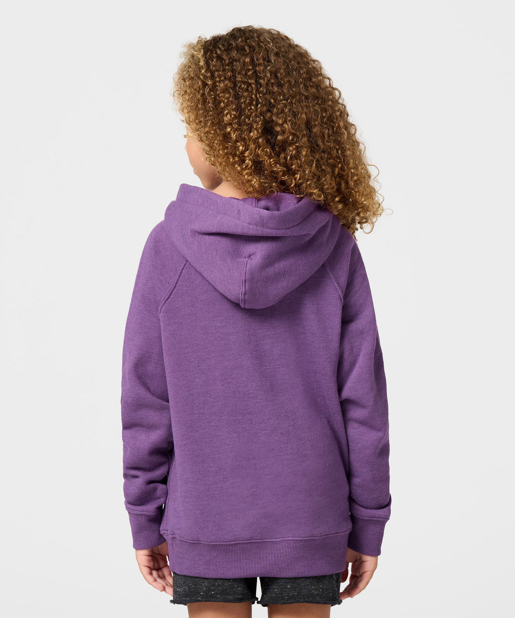 Youth Minnesota Vikings Classic Hoodie