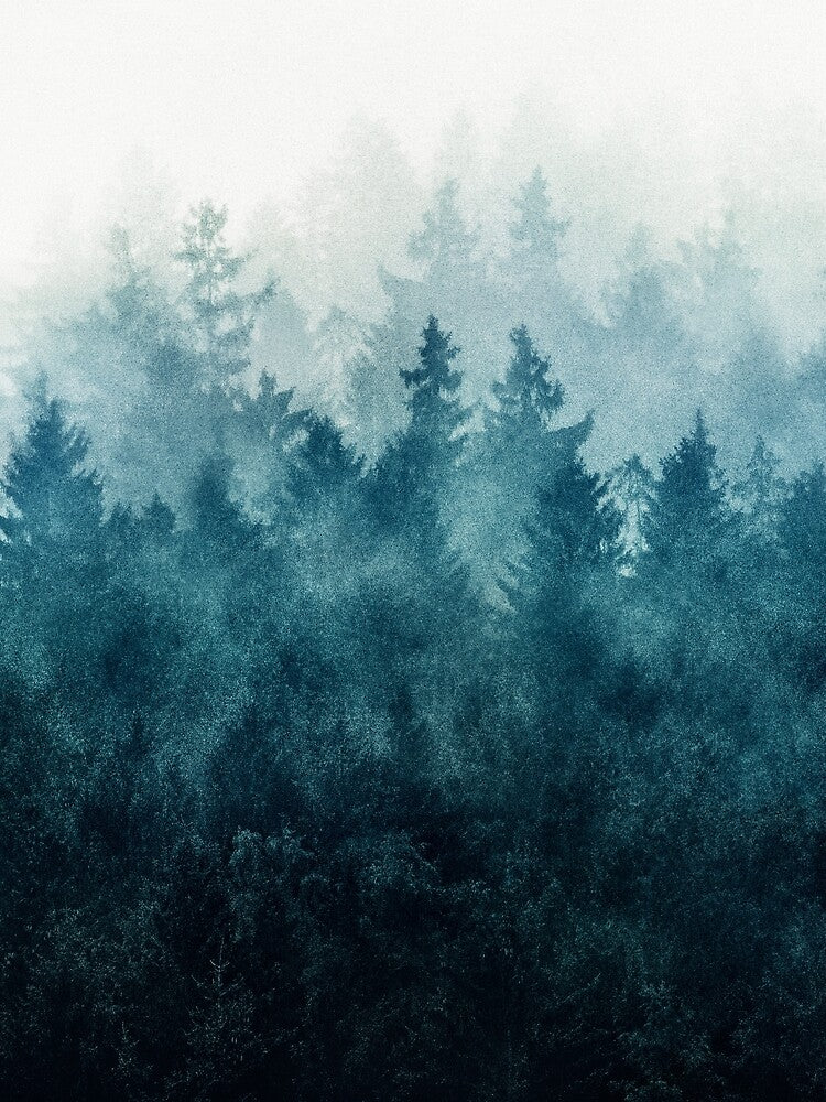 The Heart Of My Heart // So Far From Home In A Misty Foggy Fall Wilderness Forest by Tordis Kayma