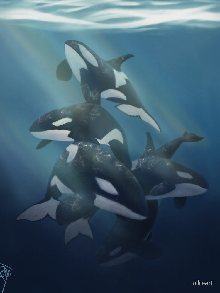 Orca Pod by milreart
