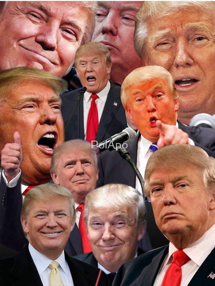 Donald Trump Collage by PolApo