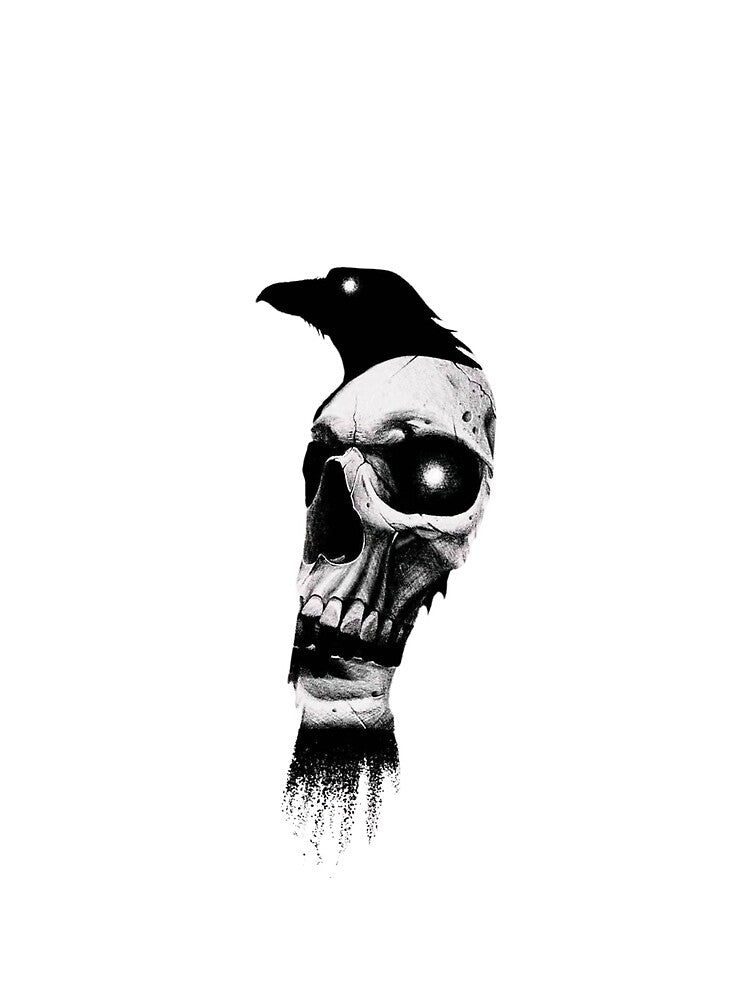 Raven skull by Stemies Productions