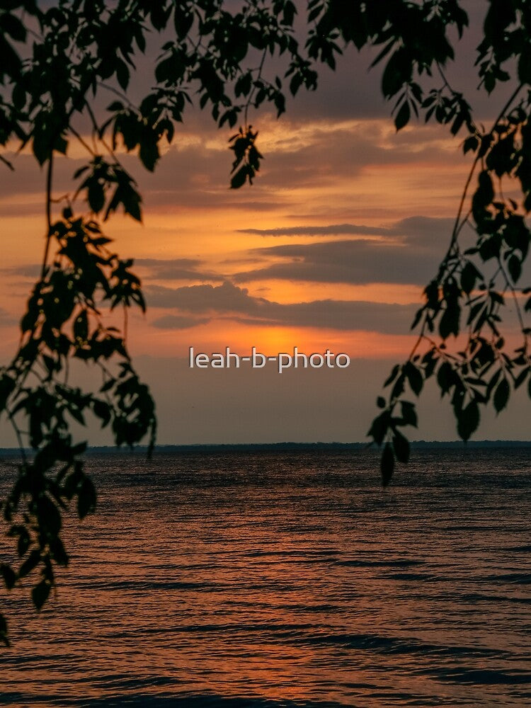 Sunset between the trees with lake by leah-b-photo