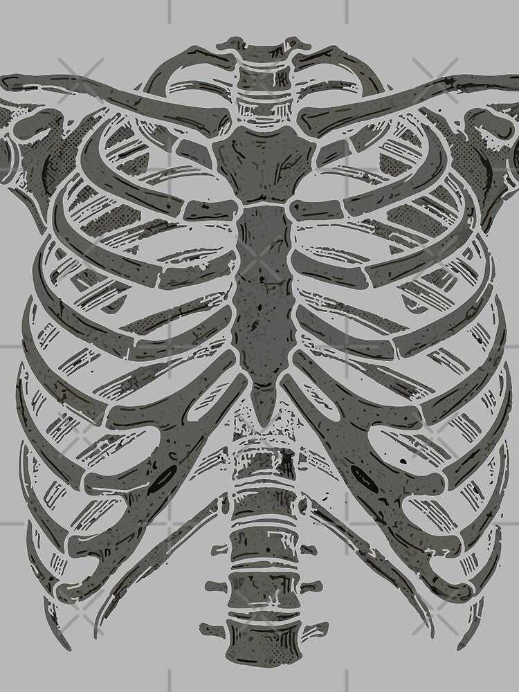 rib cage, skeleton, light by Eteriano