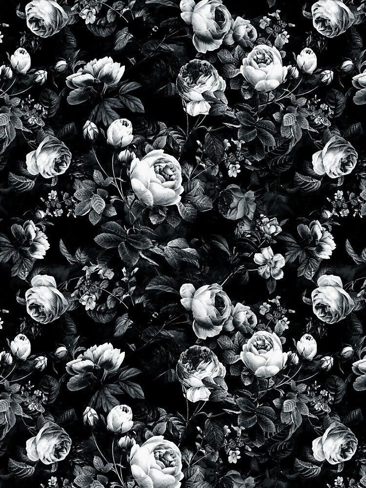 Roses Black and White by RIZA PEKER