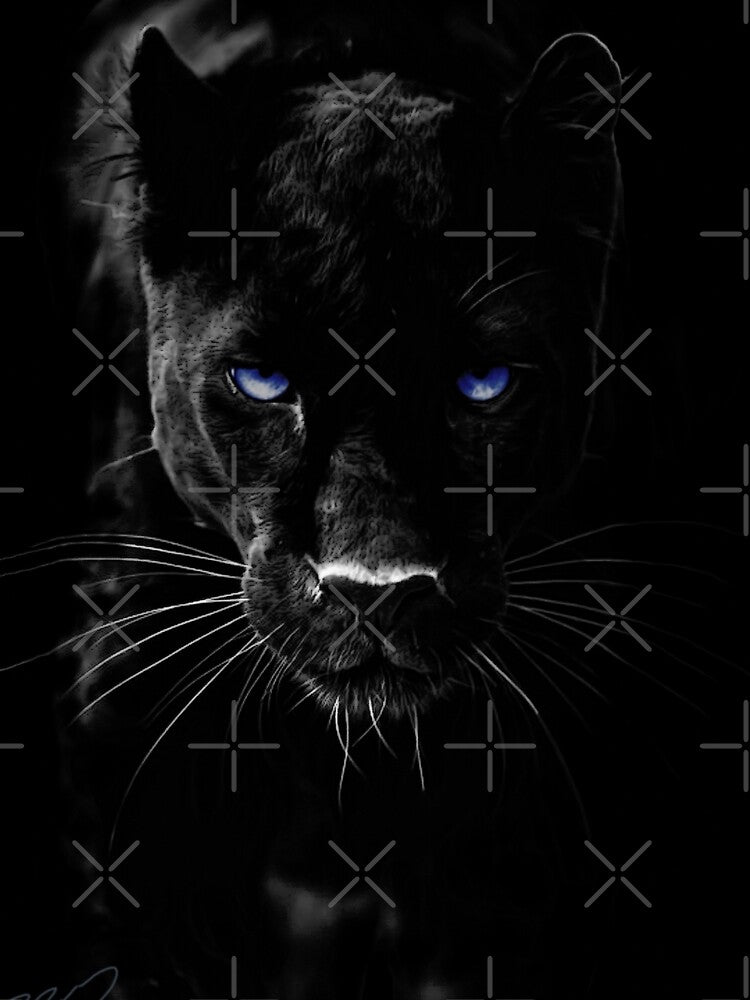 BLACK PANTHER by Paparaw