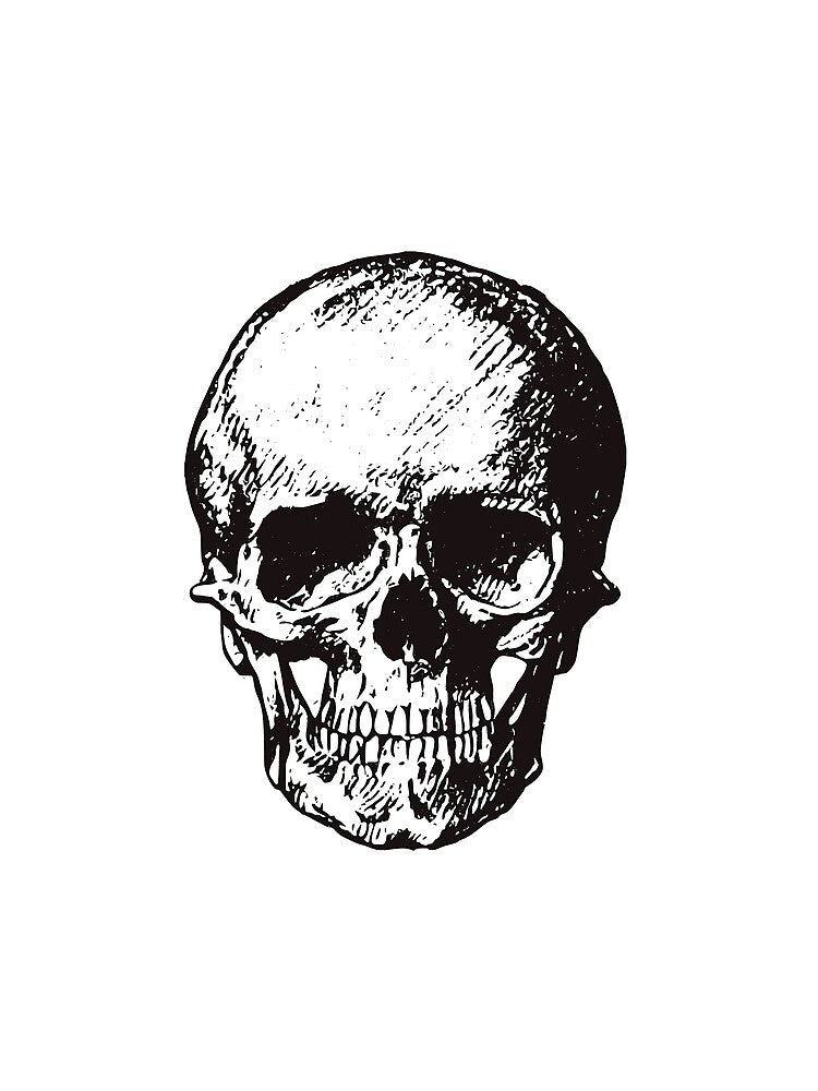 Funny Skull - Black & White by madeinatlantis