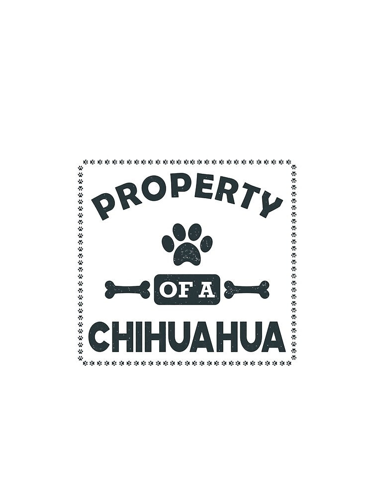Chihuahua dog - Property of a chihuahua by GiaoCalonas