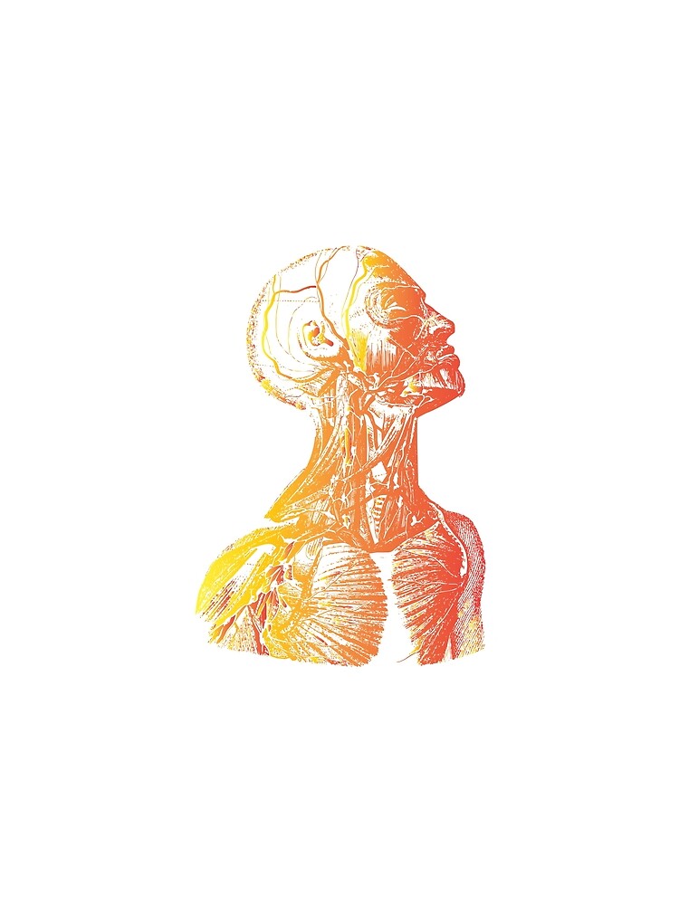 Skeleton Head by BenO63