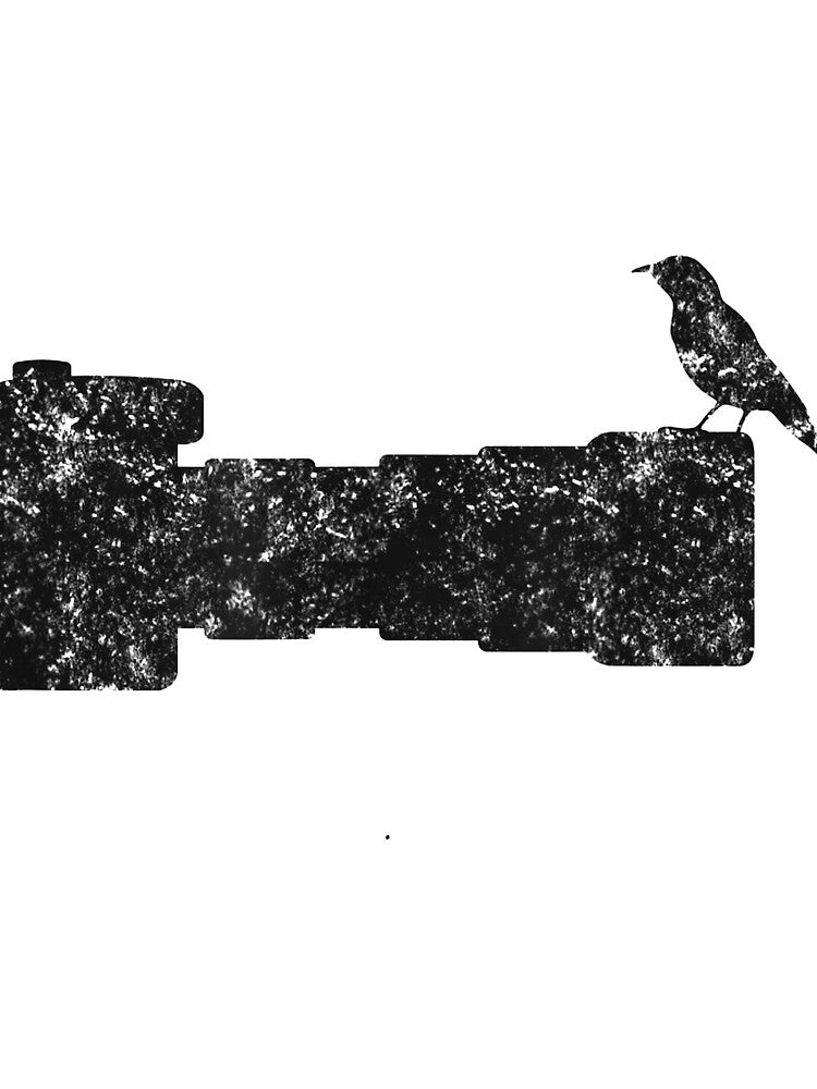 Bird Camera Long Lens Photographer Shirt Gift Vintage by ImartX