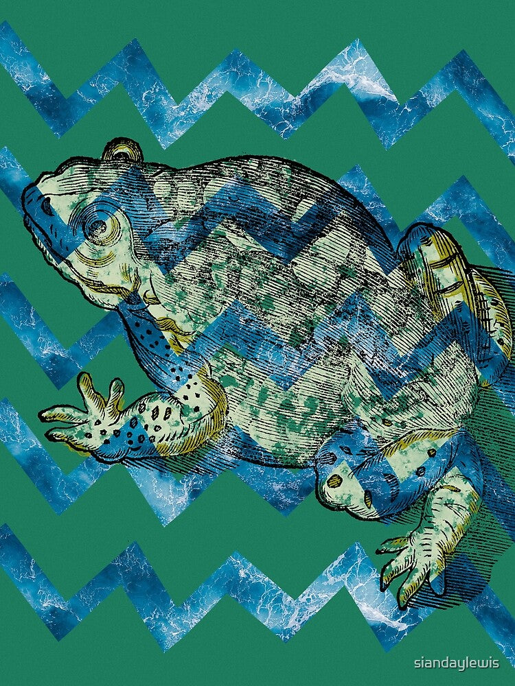 Amphibian by siandaylewis