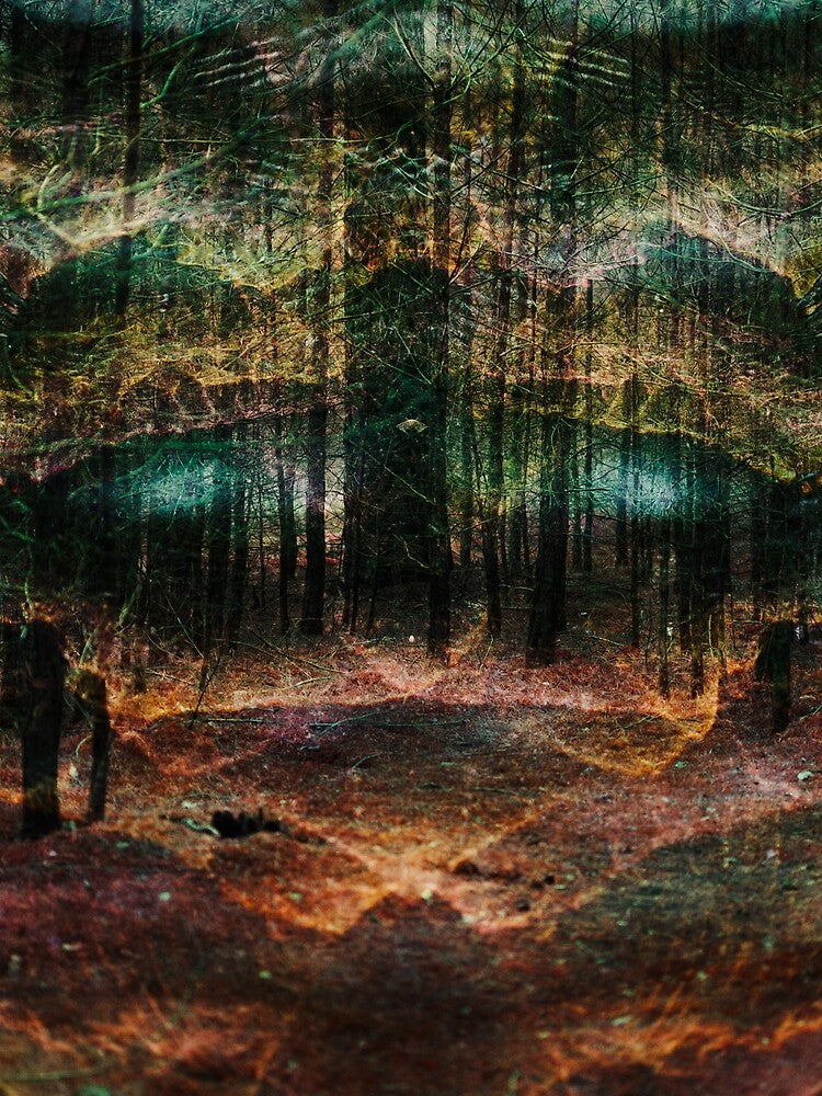 The forest looks back # 1 by Psilographics