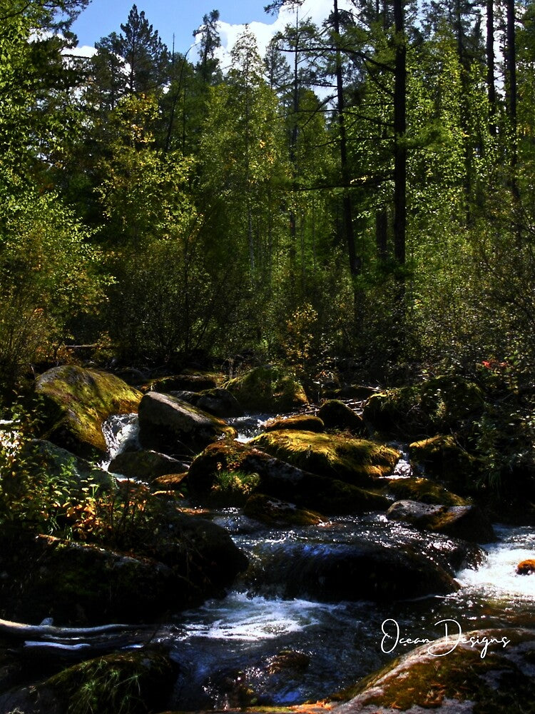 Woodland Vibes by oceandesignsfx