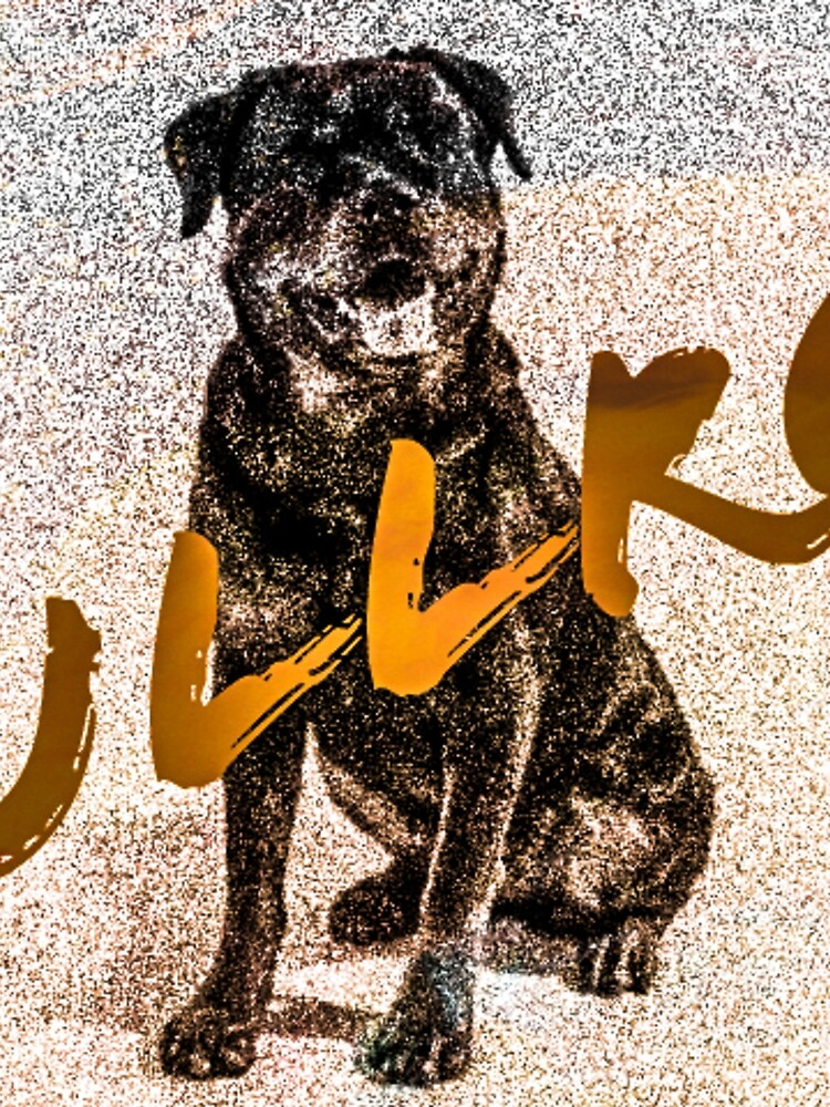 Bullrot Sable Dog and Name by Bullrot