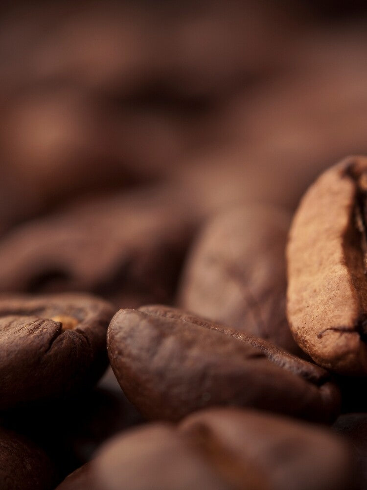 Coffee Beans by oceandesignsfx