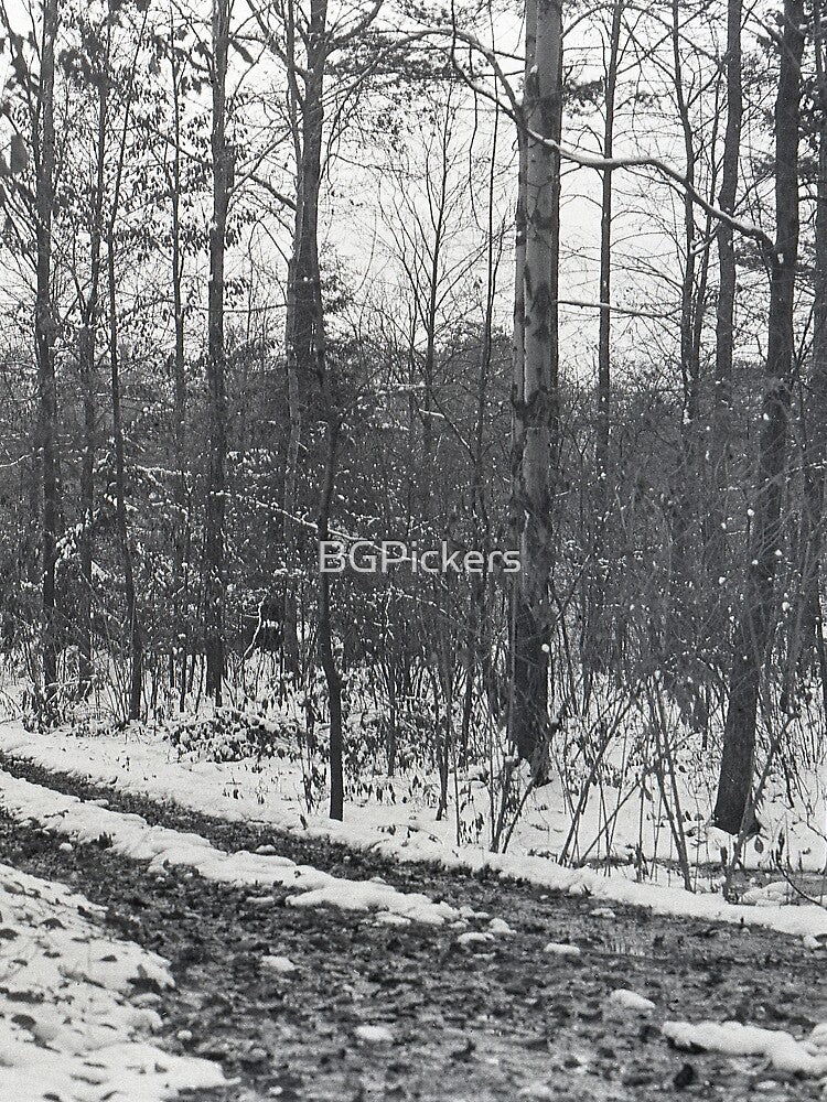 Vintage Woods by BGPickers