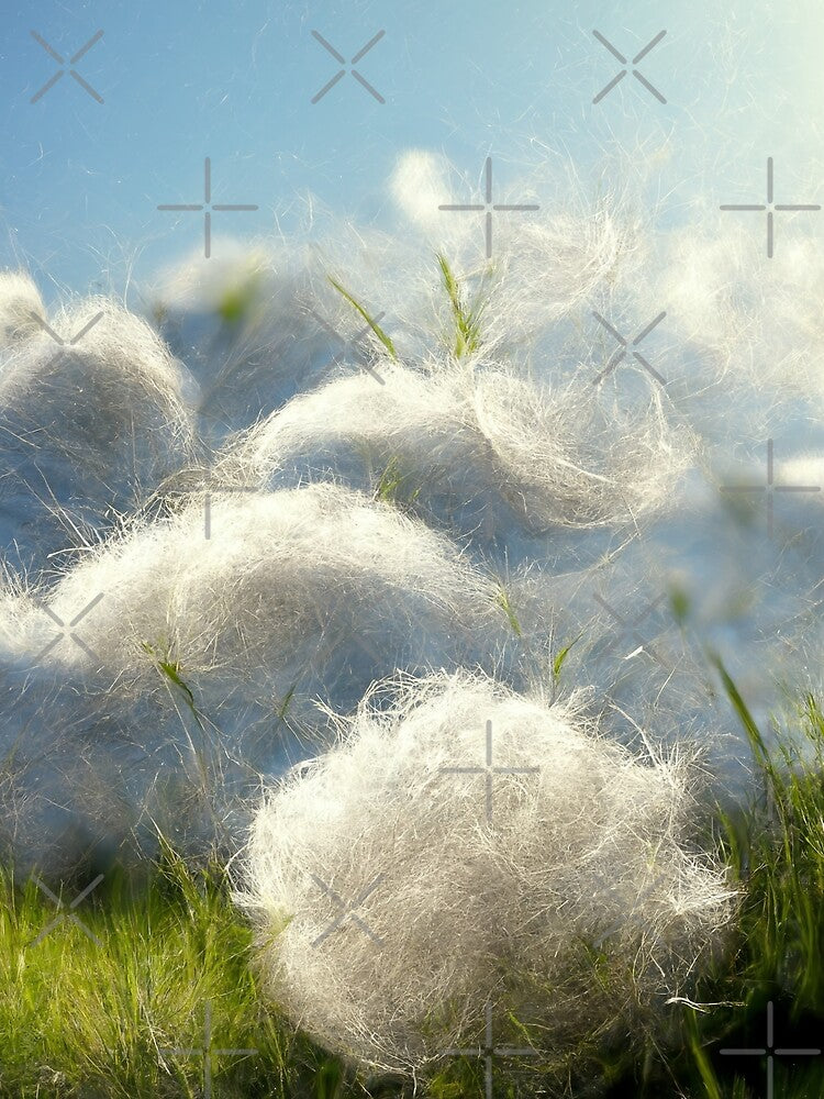 Copy of cotton balls on a windy field 4 by Mike Kiev art