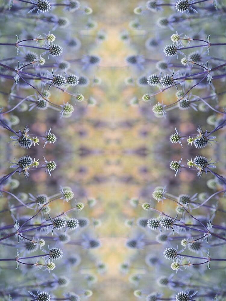 Flower magic in pale purple by Psilographics