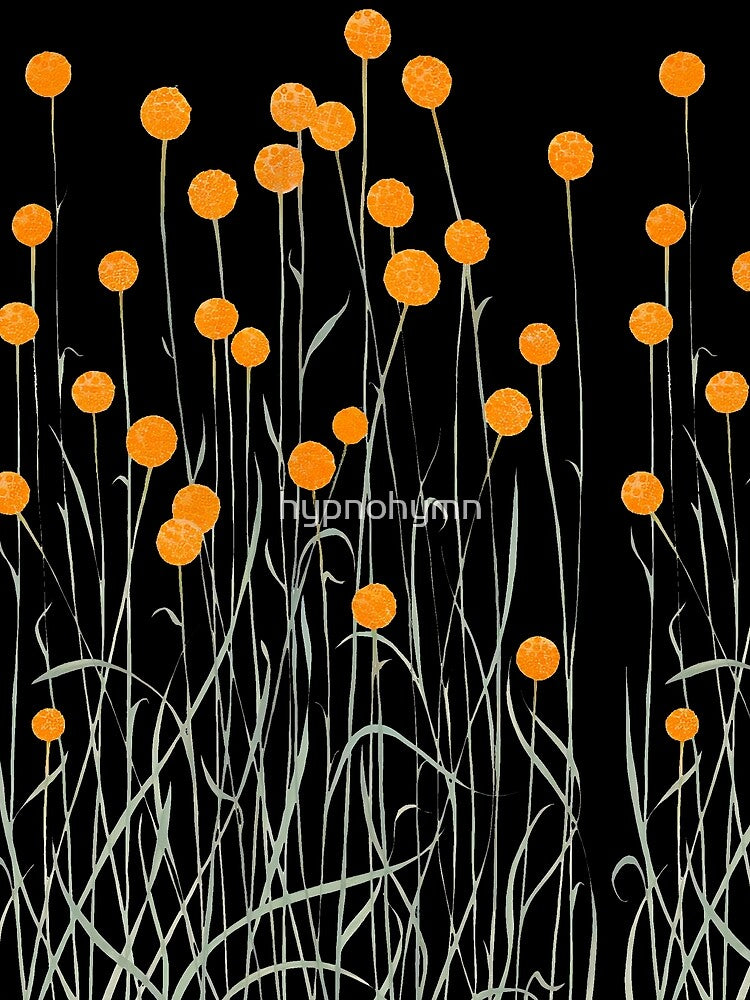 Dandy Daffodil by hypnohymn