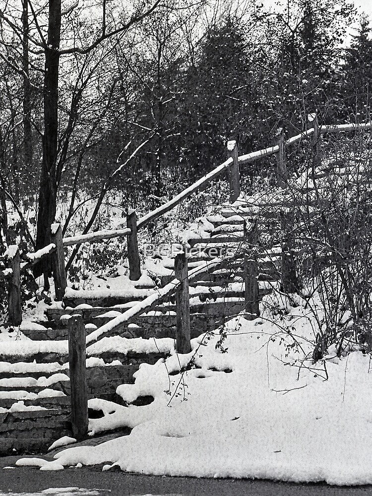 Vintage Winter Stairs by BGPickers