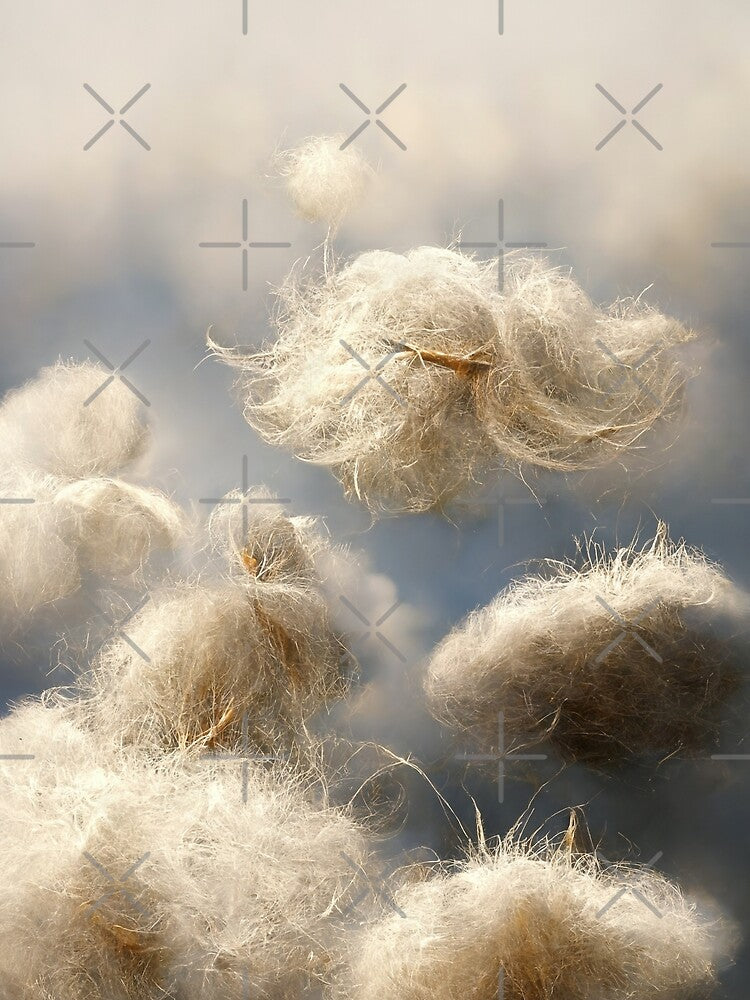 cotton balls on a windy field 3 by Mike Kiev art