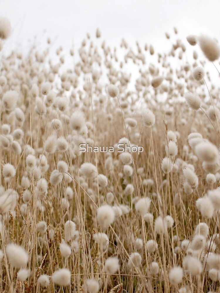 Cotton Field by Shawa Shop