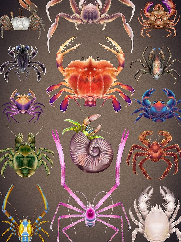 Crabs Plate by Franz Anthony