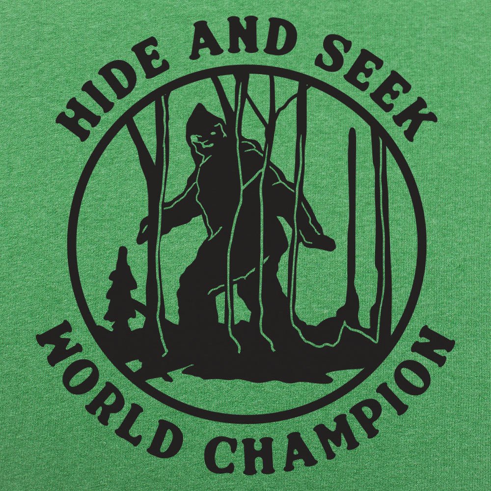 Hide and Seek Champ