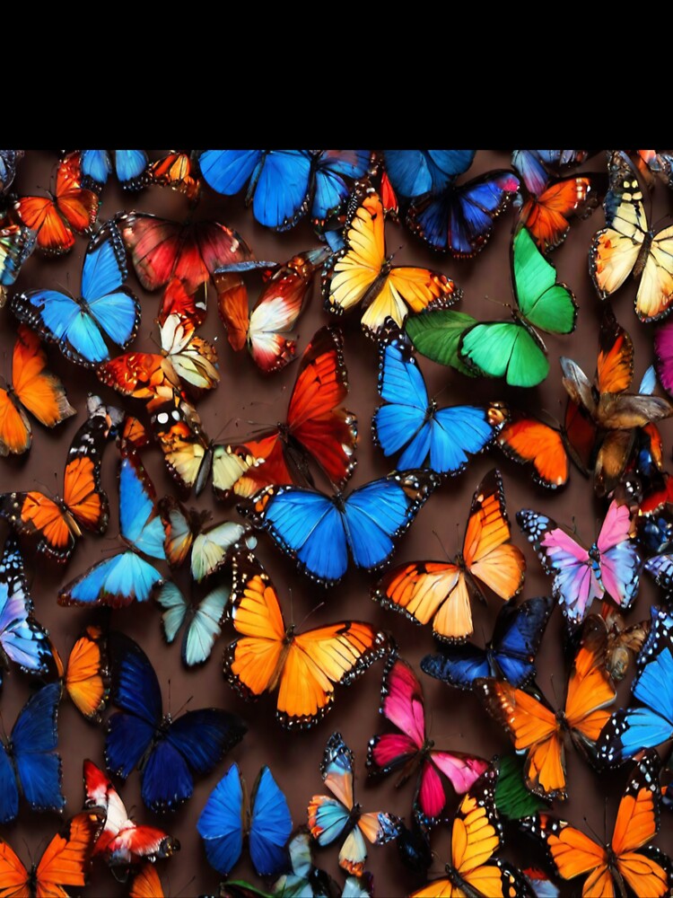 multi color butterfly pattern by Md Rashid  Hasan