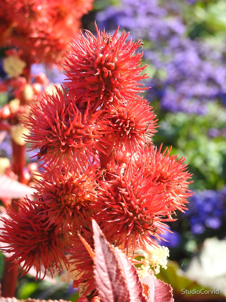 Spiky plant by StudioCorvid