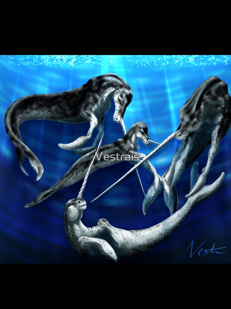 Narwhal Pod by Vestrais