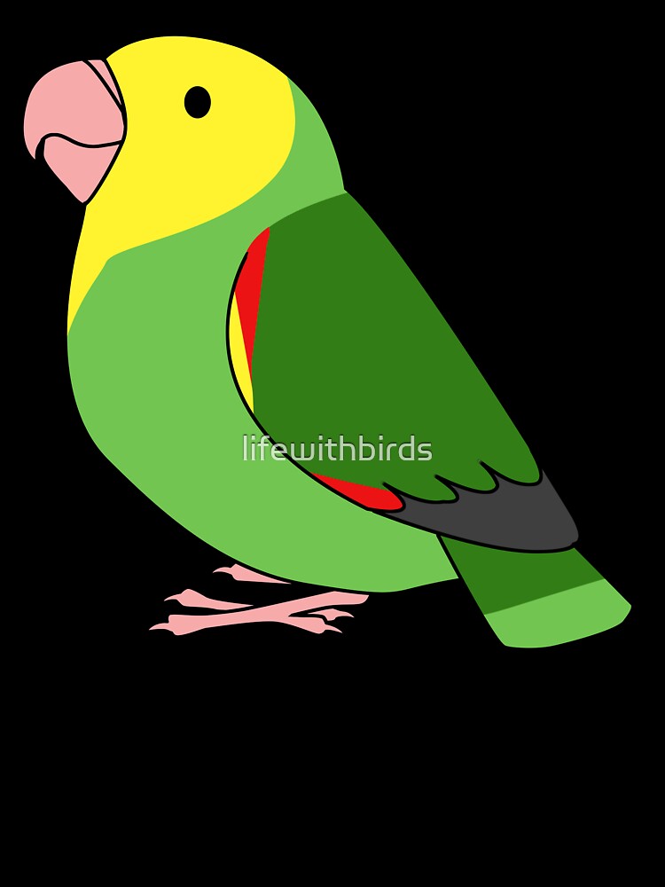 Double yellow-headed amazon parrot cartoon drawing by lifewithbirds