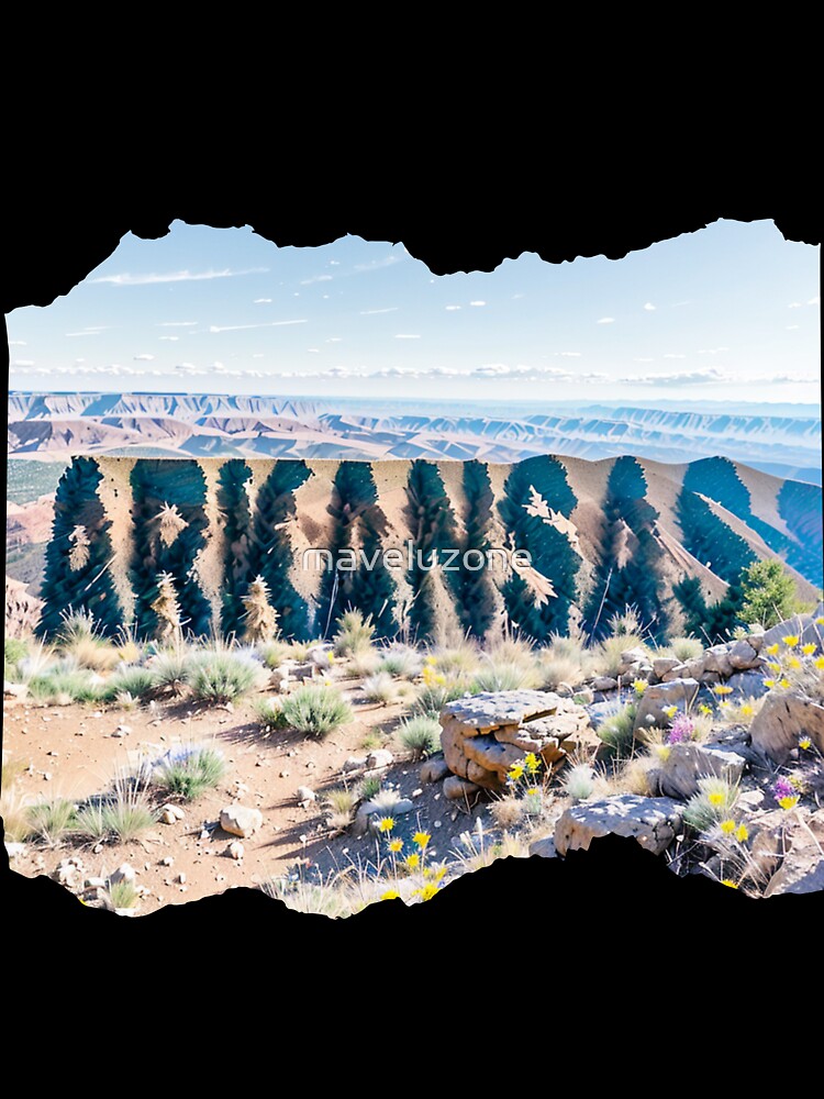 ARKANSAS 24 13 by maveluzone