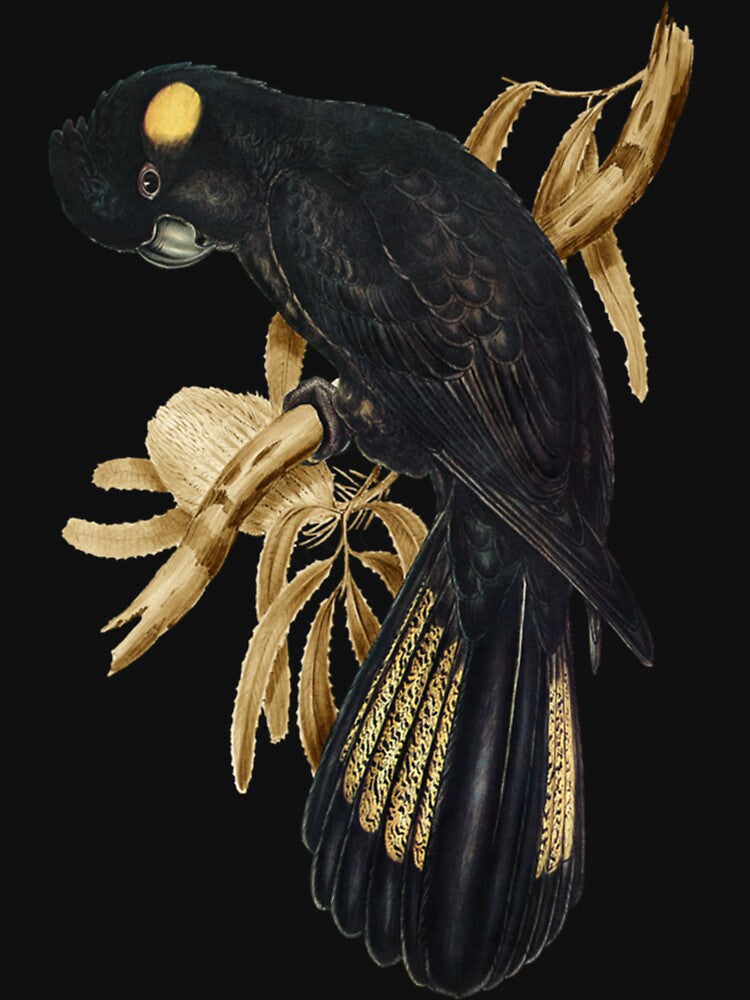 Yellow-tailed Black Cockatoo Classic by Ndeliaw