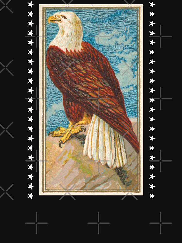 Vintage Illustration - American Bald Eagle by TMBTM