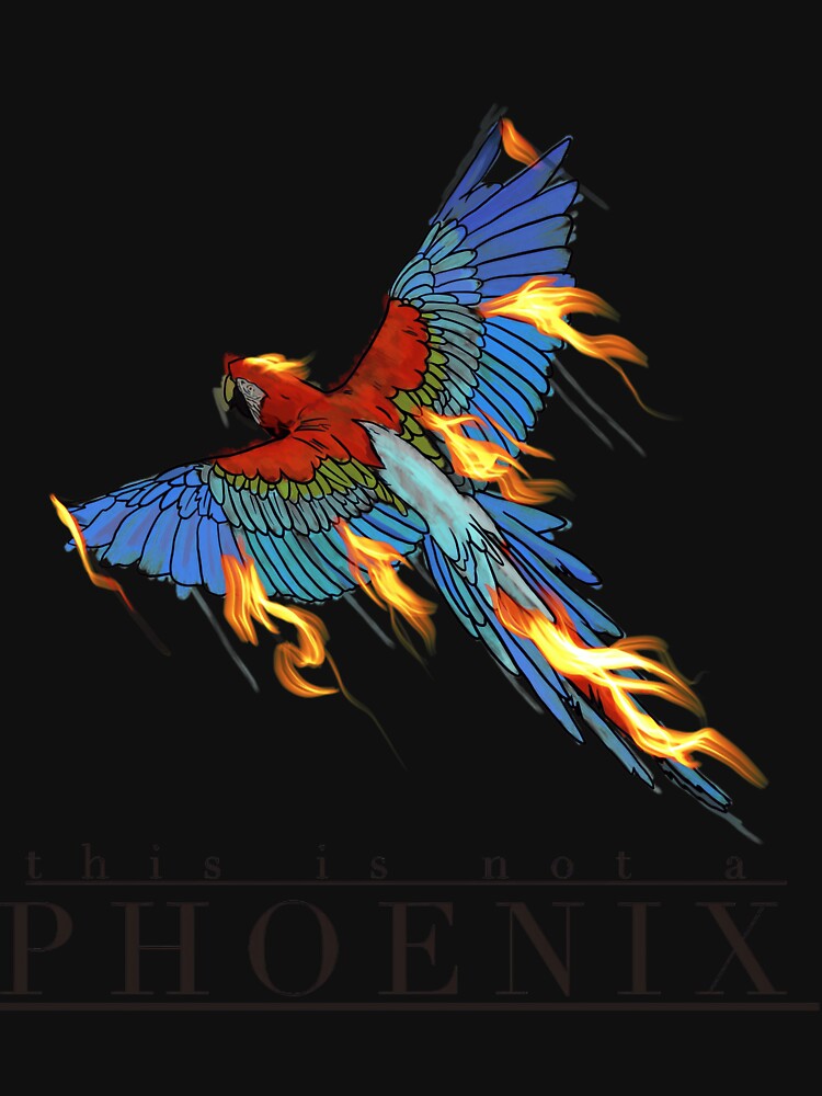 Amazon parrot by vielkaxuesy