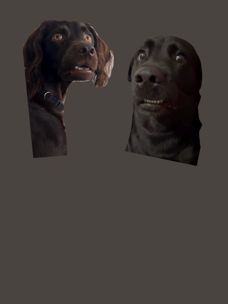 Viral dog meme by Lovedesigning25