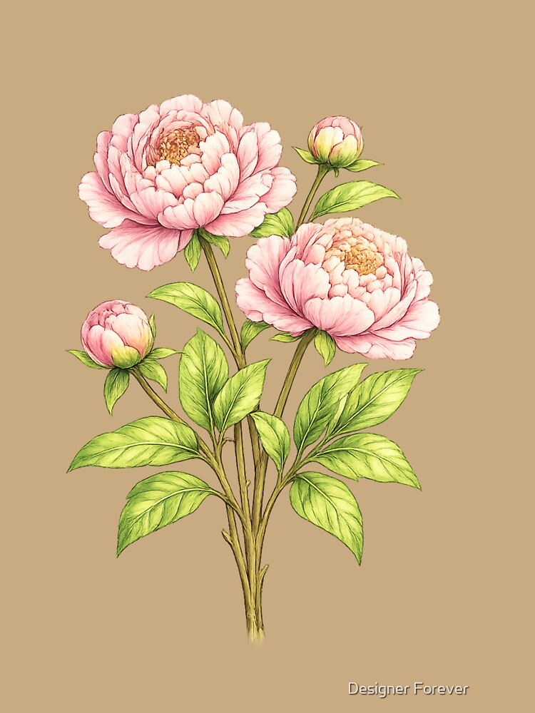 Taurus Botanical Peony — Zodiac Line Art Print by Designer Forever ⭐⭐⭐⭐⭐