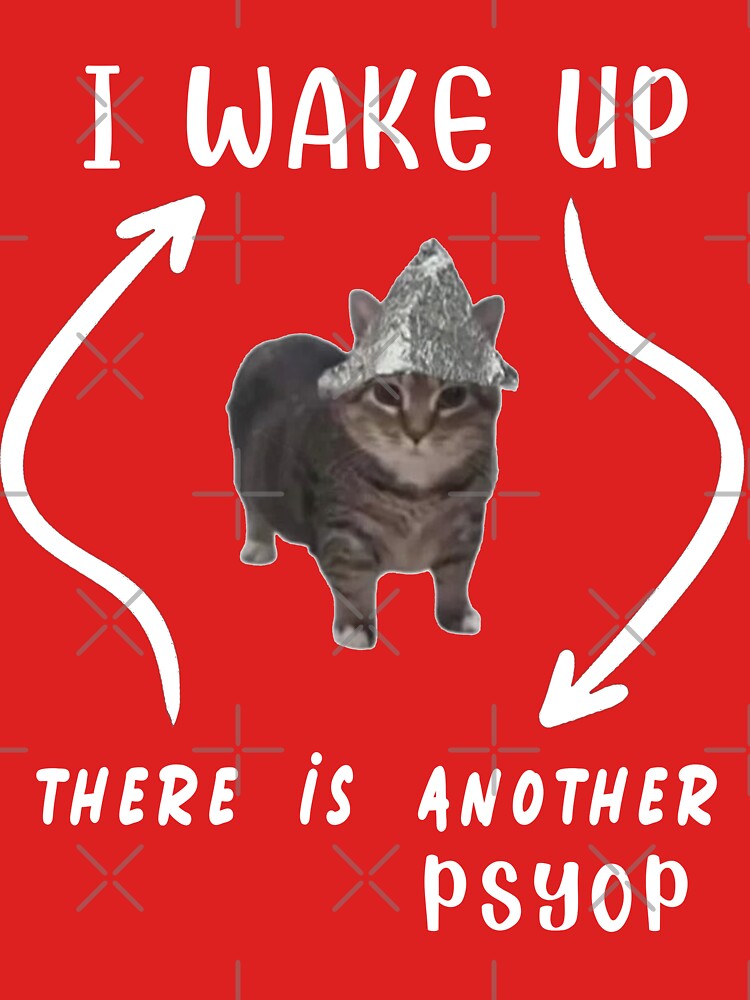 Tin Foil Hat Cat - I Wake Up There Is Another Psyop - MEME by MediTees