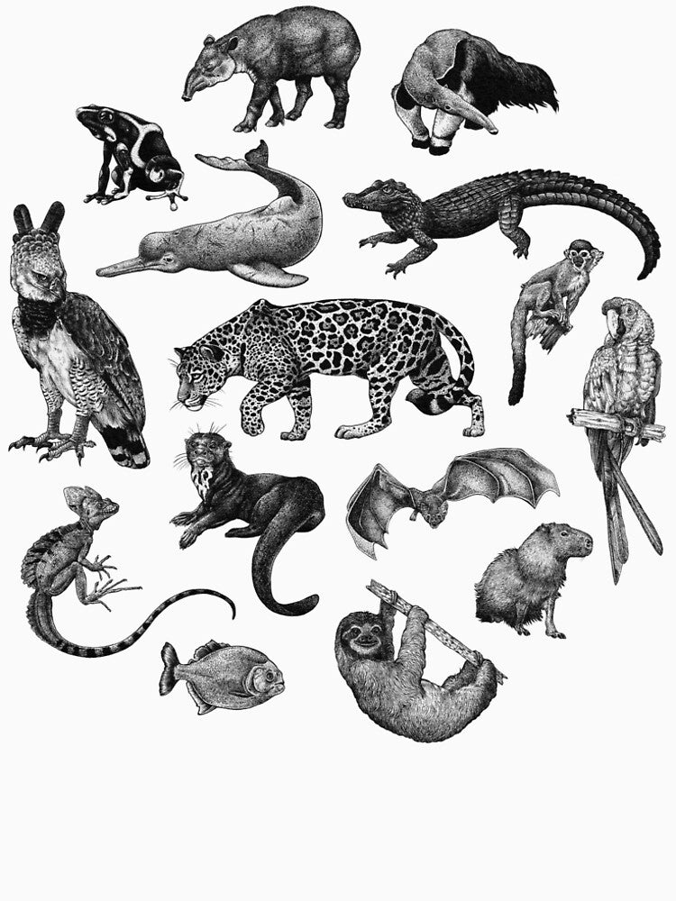 Biodiversity of the Amazon by Sciart by Savannah