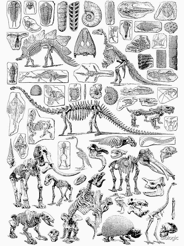 Paleontology by diologic
